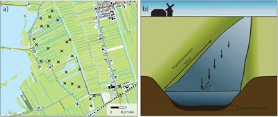 Managing Successional Stage Heterogeneity to Maximize Landscape-Wide Biodiversity of Aquatic Vegetation in Ditch Networks